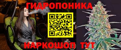 стафф Красноармейск