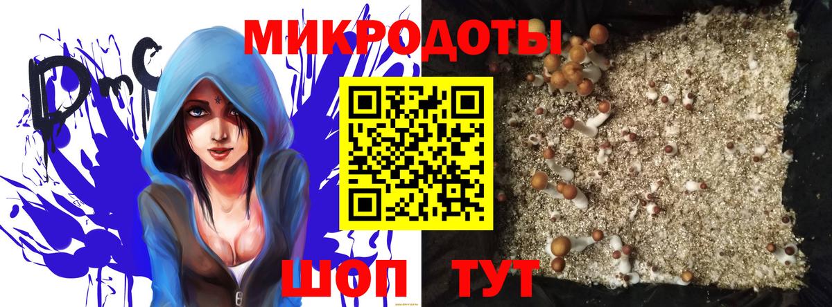Псилоцибиновые грибы ЛСД  Вход с VPN  Волжск  Псилоцибиновые грибы мухоморы 